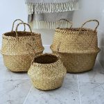 Fun Belly Basket - L