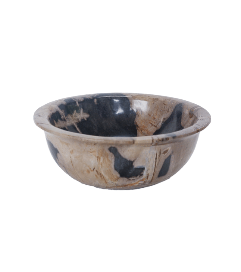 Petrified Wood Bowl - Polished -Large - Image 1