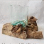 Root Glass - Natural 2716