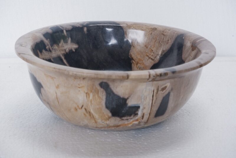 Petrified Wood Bowl - Polished -Large - Image 2
