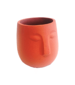 Kaylee Face Pot