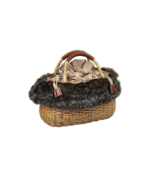 Arctic Bag