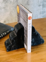 Petrified Wood Bookends