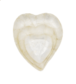 Capiz Heart Plate Set of 3