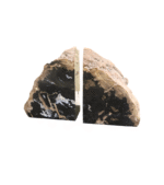 Petrified Wood Bookends - Image 2