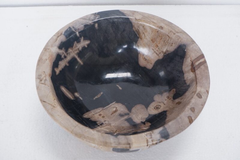 Petrified Wood Bowl - Polished -Large - Image 3