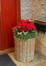 Kooboo Planter - Set of 2 - Image 2