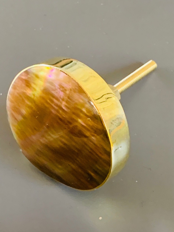 enrdijts3yrm2tangn5gpd0z-large.jpg Shell Knob Large (5cm) Modern Round - Brown - Image 1