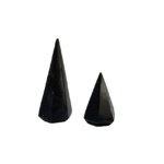 Petrified Wood - Black Obeliks - Set of 2