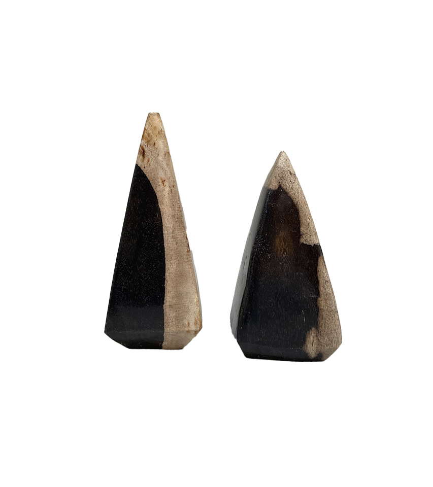 or4ygjchhhdpxt04jtj12oqj-large.png Petrified Wood - Modern Obelisk - Set of 2 - Image 1