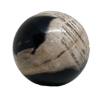 Petrified Wood Ball - Large