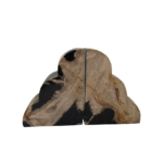 Petrified Wood - Polished Bookend