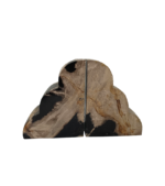 Petrified Wood - Polished Bookend