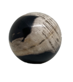 Petrified Wood Ball - Large - Image 2