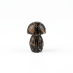 Petrified Wood - Mushroom -Small